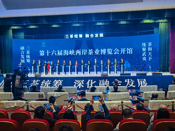 两岸一家亲  共饮一壶茶