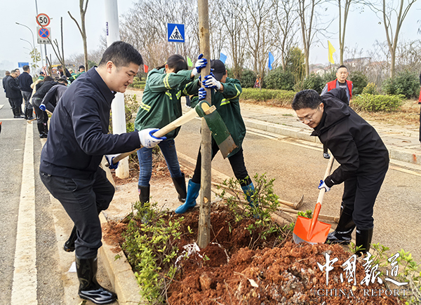 湖南衡阳珠晖区：干群齐参与 绿树住“新家”