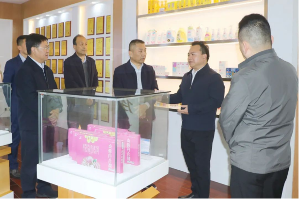 李锋副省长调研涉侨工作