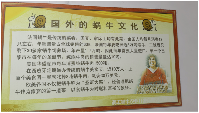 黄河千年清一回 让小小蜗牛变金牛震动地球